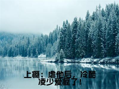 上瘾:虐他后,冷酷凌少爱疯了!(苏晨凌之奕)全文免费阅读无弹窗大结局_苏晨凌之奕最新章节列表