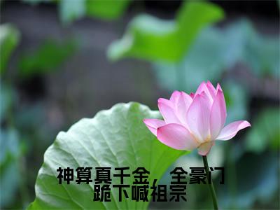 神算真千金,全豪门跪下喊祖宗阅读无弹窗大结局_(鹿知之顾言洲阅读无弹窗)最新章节列表_笔趣阁(鹿知之顾言洲)