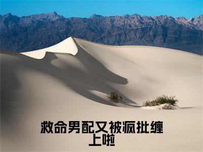 救命男配又被疯批缠上啦：维利全文免费阅读无弹窗大结局_（救命男配又被疯批缠上啦）维利最新章节列表笔趣阁