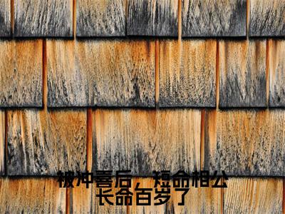 被冲喜后，短命相公长命百岁了全文免费阅读无弹窗大结局-秦砚辞凌瑾韵全文在线阅读