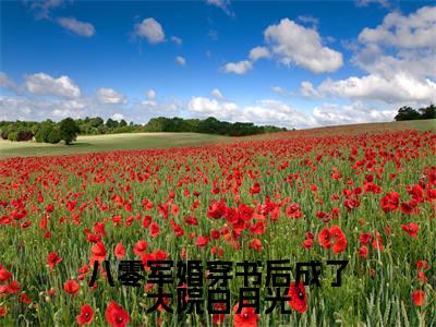八零军婚穿书后成了大院白月光(路寒川叶潇潇)全文免费完结版阅读_(路寒川叶潇潇)八零军婚穿书后成了大院白月光最新章节列表笔趣阁