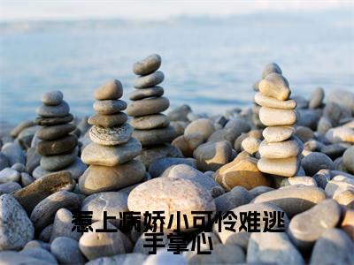 惹上病娇小可怜难逃手掌心(黎纾廖佑弋)小说全文免费阅读无弹窗大结局_(黎纾廖佑弋免费阅读)惹上病娇小可怜难逃手掌心最新章节列表笔趣阁