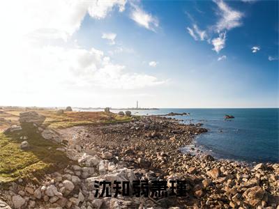 沈知弱萧瑾（萧瑾沈知弱）全文免费阅读无弹窗_（萧瑾沈知弱小说全文免费阅读）沈知弱萧瑾最新章节列表笔趣阁