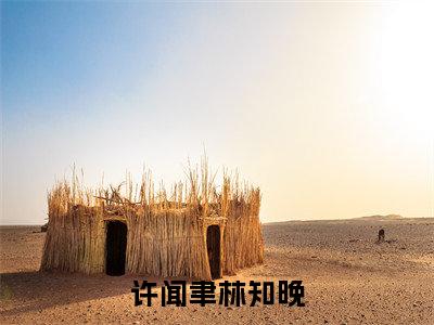 许闻聿林知晚的小说免费阅读(许闻聿林知晚的小说免费阅读)全文完整版免费阅读-许闻聿林知晚好书推荐
