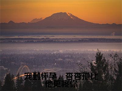宠到怀孕，杳杳孤比他更疼你全文免费阅读_谢云晔孟锦月（宠到怀孕，杳杳孤比他更疼你）小说在线阅读最新章节列表笔趣阁
