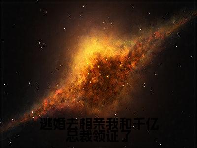 沈嘉木乔汐完整版（逃婚去相亲我和千亿总裁领证了小说）全文免费阅读无弹窗大结局_逃婚去相亲我和千亿总裁领证了最新章节