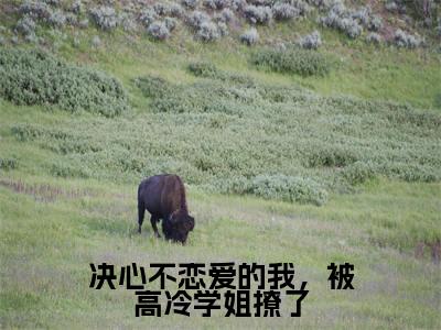 决心不恋爱的我，被高冷学姐撩了小说最新章节阅读-小说决心不恋爱的我，被高冷学姐撩了（林逸）已完结小说精彩大结局