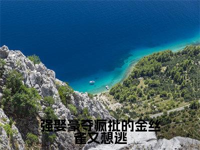 墨君绝南若烟免费小说,强娶豪夺疯批的金丝雀又想逃全文免费阅读无弹窗大结局