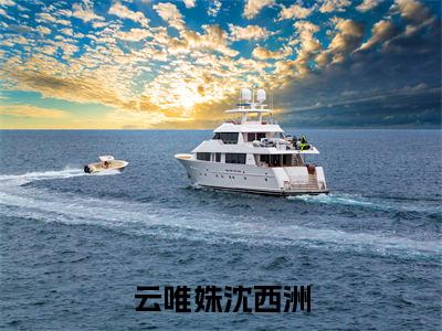 小说(云唯姝沈西洲)在线赏析_云唯姝沈西洲txt小说在线阅读笔趣阁