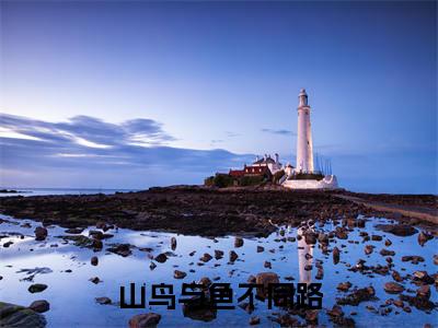 宋瑜李政屿小说(山鸟与鱼不同路)全文免费阅读_(山鸟与鱼不同路)宋瑜李政屿小说最新章节列表