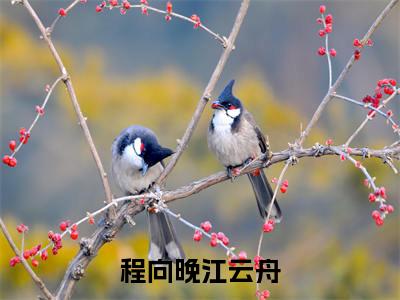 程向晚江云舟结局_(程向晚江云舟)程向晚江云舟最新章节列表_笔趣阁