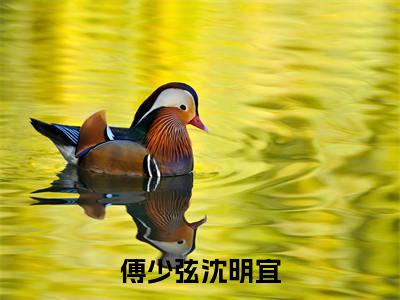 沈明宜傅少弦(傅少弦沈明宜)小说全文无删减-沈明宜傅少弦小说免费阅读大结局(免费+全集)
