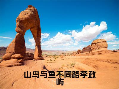 山鸟与鱼不同路李政屿(宋瑜李政屿)小说全文免费_山鸟与鱼不同路李政屿(宋瑜李政屿)最新章节目录笔趣阁