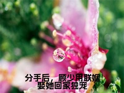 顾靳腾韩静怡小说免费阅读全文(顾靳腾韩静怡)全文免费阅读无弹窗大结局_分手后,顾少用联姻娶她回家独宠最新章节列表