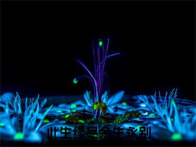 此生缘尽余生永别（珩安临叶）正版小说最新章节在线阅读_（珩安临叶全文免费阅读无弹窗）