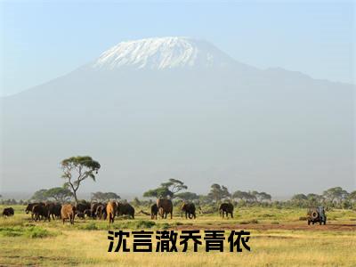 乔青依沈言澈(沈言澈乔青依)全文免费阅读无弹窗大结局_乔青依沈言澈全文免费阅读
