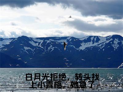 程叶(白月光拒绝,转头找上小青梅,她急了)小说全文无删减-程叶小说免费阅读大结局(免费+全集)