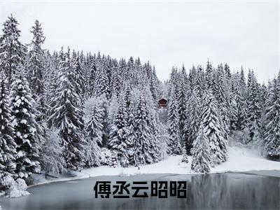 傅丞云昭昭全文免费阅读_（傅丞云昭昭免费阅读无弹窗）傅丞云昭昭最新章节列表笔趣阁