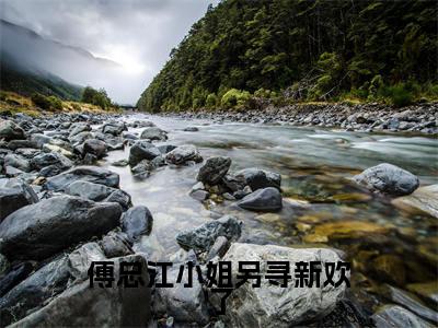 傅司珩江南(傅总江小姐另寻新欢了小说)全文免费阅读无弹窗大结局_傅总江小姐另寻新欢了小说免费阅读最新章节列表_笔趣阁(傅司珩江南小说)