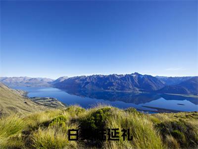白雯陆延礼(白雯陆延礼)全文小说-白雯陆延礼小说最新章节免费阅读(免费)+(全文)