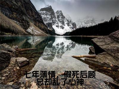 七年薄情,假死后顾总却乱了心神小说最新试读_姜吟顾言澈是(七年薄情,假死后顾总却乱了心神免费阅读最新章节列表)_笔趣阁(姜吟顾言澈)
