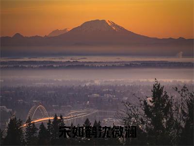 宋如鹤沈微澜(沈微澜宋如鹤精彩美文)免费阅读-小说沈微澜宋如鹤最后结局如何