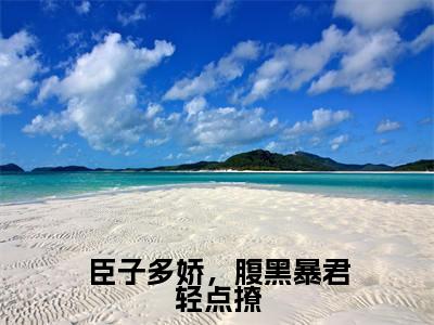 臣子多娇,腹黑暴君轻点撩小说免费阅读(盛挽辞萧谌)全文免费阅读大结局-(臣子多娇,腹黑暴君轻点撩小说免费阅读)好书推荐