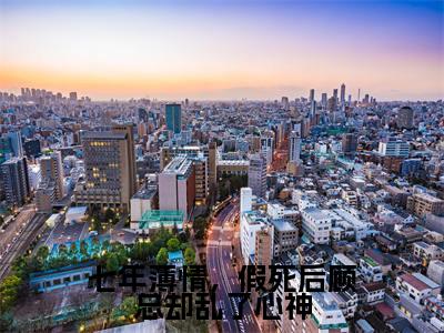 七年薄情，假死后顾总却乱了心神（姜吟顾言澈）全文免费阅读_姜吟顾言澈正版小说全文阅读