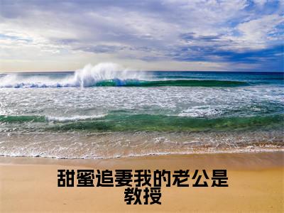 甜蜜追妻我的老公是教授(陈芷文傅霆瀚)全文免费阅读无弹窗大结局_(甜蜜追妻我的老公是教授)最新章节列表_陈芷文傅霆瀚