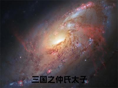 袁耀小说(三国之仲氏太子)全文免费阅读_三国之仲氏太子最新章节列表笔趣阁(袁耀)