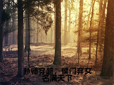 落落小说卦师穿越,侯门弃女名满天下全文免费阅读无弹窗-正版小说落落全文阅读