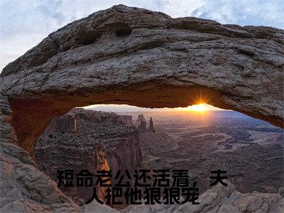 谢言川徐瑾之全文免费阅读大结局-短命老公还活着,夫人把他狠狠宠最新章节列表-笔趣阁
