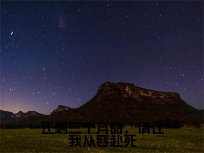还剩三个月命,请让我从容赴死小说:(还剩三个月命,请让我从容赴死)全文免费阅读无弹窗大结局_庄子昂小说:还剩三个月命,请让我从容赴死最新章节列表