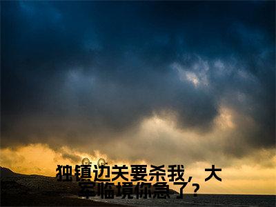 独镇边关要杀我,大军临境你急了?热门榜单小说秦风完本小说无弹窗免费阅读