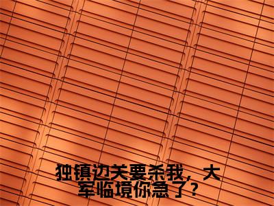 独镇边关要杀我,大军临境你急了?(秦风小说)全文免费阅读无弹窗大结局_秦风完整版小说阅读