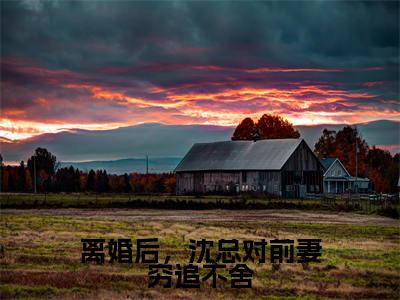 沈泽云是哪部小说的主角,离婚后,沈总对前妻穷追不舍全文无弹窗完整版阅读