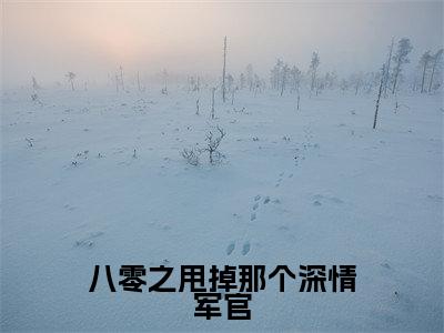 八零之甩掉那个深情军官无广告小说免费阅读,八零之甩掉那个深情军官叶希宁陆煜城完结小说在线阅读