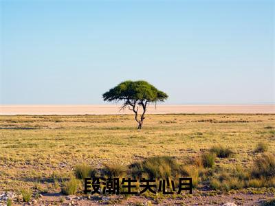 关心月段潮生(关心月段潮生)全文免费阅读无弹窗大结局_段潮生关心月小说最新章节列表_笔趣阁