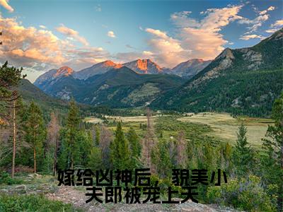 林念殷呈(嫁给凶神后,貌美小夫郎被宠上天)全文免费阅读无弹窗大结局_嫁给凶神后,貌美小夫郎被宠上天(林念殷呈)最新章节免费阅读