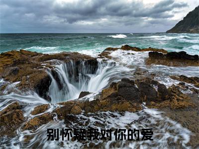 别怀疑我对你的爱全文免费阅读无弹窗大结局_(叶问草免费阅读)别怀疑我对你的爱最新章节在线阅读_笔趣阁