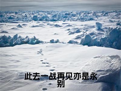 此去一战再见亦是永别(沈楚兰段弘钰)全文免费阅读无弹窗大结局_此去一战再见亦是永别小说最新章节列表_笔趣阁