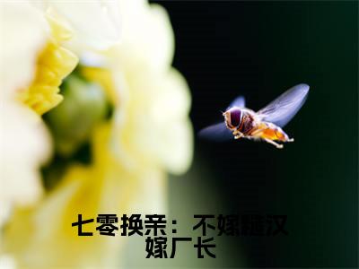 七零换亲:不嫁糙汉嫁厂长(齐少强江梨)全网首发最火小说-主角齐少强江梨的小说完整版免费阅读