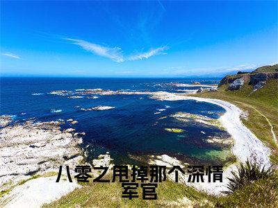 八零之甩掉那个深情军官(叶希宁陆煜城)全文免费阅读大结局_(叶希宁陆煜城免费阅读)八零之甩掉那个深情军官全文在线完本阅读