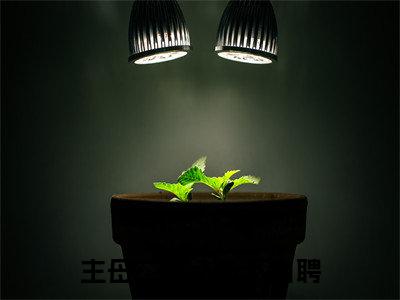 主母二嫁,天下为聘(凌舒止慕莞齐)无弹窗小说免费阅读_主母二嫁,天下为聘最新章节免费阅读_笔趣阁