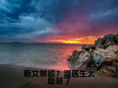 斯文禁欲?温医生太能装了(温枳实南溪)小说全文免费阅读无弹窗大结局_斯文禁欲?温医生太能装了(温枳实南溪)最新章节列表