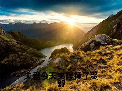 夫君今天又挨揍了贺舒堇熙贺舒抖音热推新书小说全文阅读（堇熙贺舒）全文免费阅读大结局