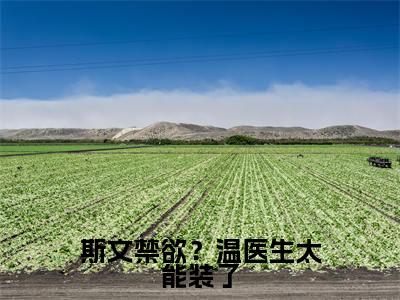斯文禁欲?温医生太能装了多人追的小说在哪里可以看温枳实南溪小说免费阅读全章节