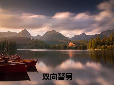 漫漫江屿笙(双向替身)全文免费阅读无弹窗大结局-双向替身(漫漫江屿笙)小说全文免费阅读最新章节列表