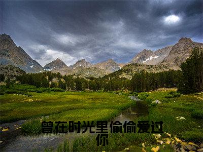 曾在时光里偷偷爱过你小说在线阅读(姜晚意孟淮序)全文免费阅读大结局_曾在时光里偷偷爱过你最新章节列表笔趣阁