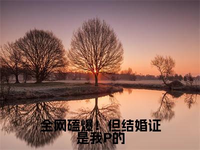 全网磕爆!但结婚证是我P的小说全文免费阅读_全网磕爆!但结婚证是我P的(顾九京时铭)最新章节列表在线阅读
